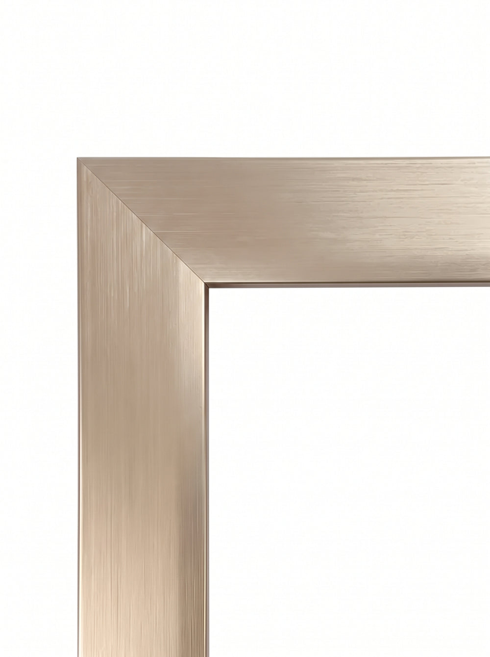 Tavelram Anemone i champagne (Champagne, A1005) – 30 mm bred aluram i borstad aluminium efter mått