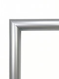 Silver – P1007