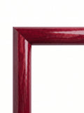 Red – T1078